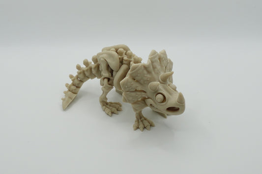 Triceratops Skeleton - (Articulated)